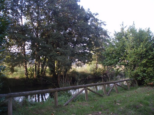 Rio linares
