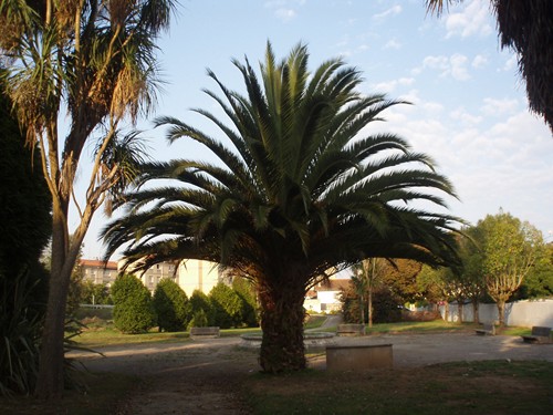 Parque de la Alameda