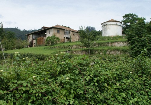 Bedriñana